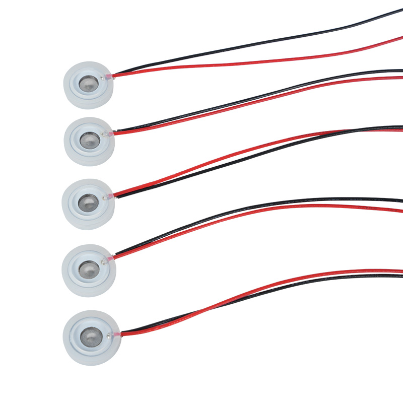 Nebulizer Jaring Mikro Piezoelektrik Kecil 10Mm, Sepotong Mesin Cuci Hidung, Instrumen Mata Lembab, Semprotan Minyak Esensial Aromaterapi, Nebulizer Humidifikasi Disinfeksi Kecil Berbentuk Mikro Khusus, Kekuatan Lubang Semprot Jaring Mikro Kecil, Sepotong Apertur, Kecepatan Nebulisasi Dapat Disesuaikan, Partikel Dapat Disesuaikan, Dapat Disesuaikan