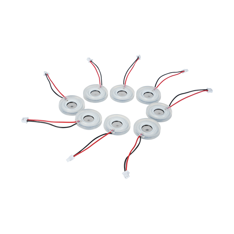 Φ16mm Pelat Fogging Mikropori Keramik Piezoelektrik Pemanas Volume Kabut Besar Pelat Fogging Diffuser Pelat Lubang Semprot Pelat Fogging Jaring