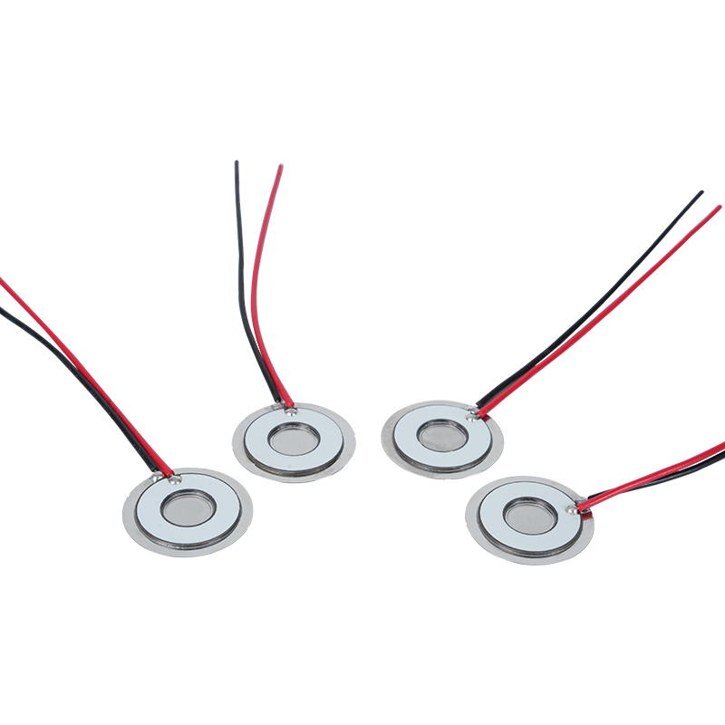 Φ20 Frekuensi Disk Atomisasi 111khz304 Jaring Mikro Baja Tahan Karat Jaring Disk Atomisasi Lembaran Atomisasi Pendingin Udara Kulkas Jaring Pelembab Segar Lembar Penyebar Atomisasi Laju Atomisasi>800ml/Jam